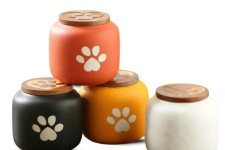 Categoría Mascotas Imagen
